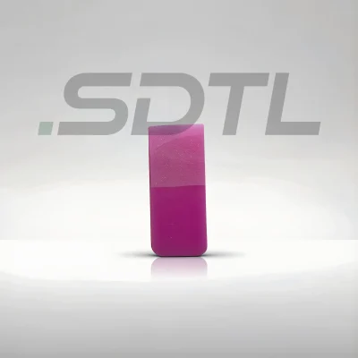 2819