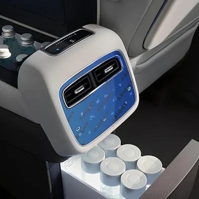 denza-n8l-2025-9-3-zadniy-klimat-kontrol